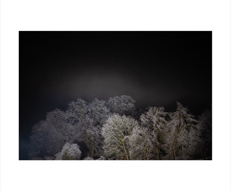 Frost : United Kingdom